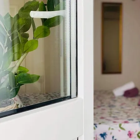Pami Guest house